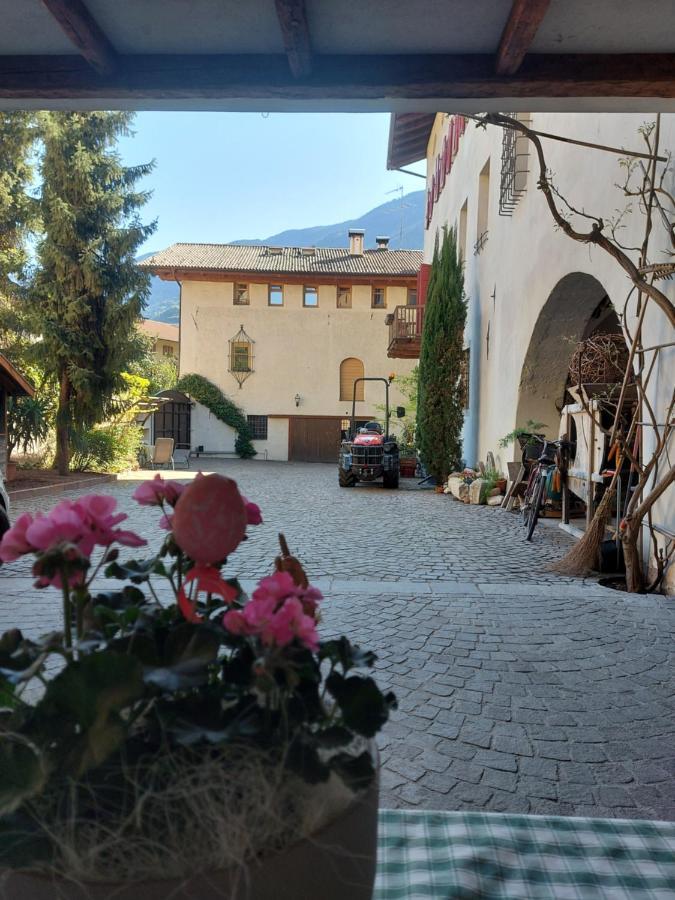 Apartmán Ansitz Von Wohlgemuth Salorno Exteriér fotografie